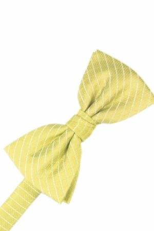 Buttercup Palermo Bowtie