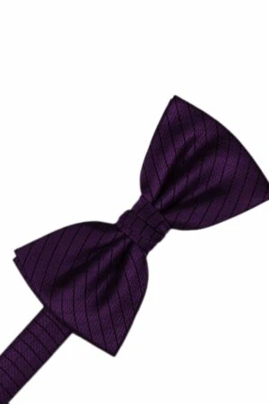 Raisin Palermo Bowtie