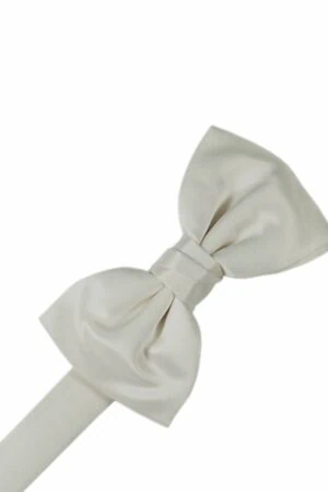 Platinum Solid Satin Bowtie