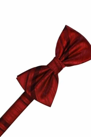 Apple Striped Satin Bowtie