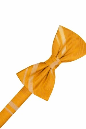 Tangerine Striped Satin Bowtie