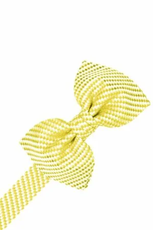 Buttercup Venetian Bowtie