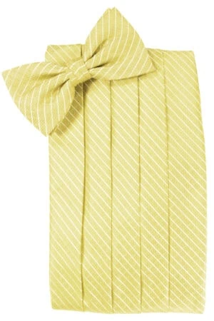 Buttercup Palermo Cummerbund