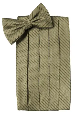 Champagne Palermo Cummerbund