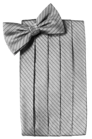 Silver Palermo Cummerbund