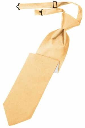 Apricot Solid Satin Long Tie