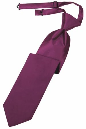Sangria Solid Satin Long Tie