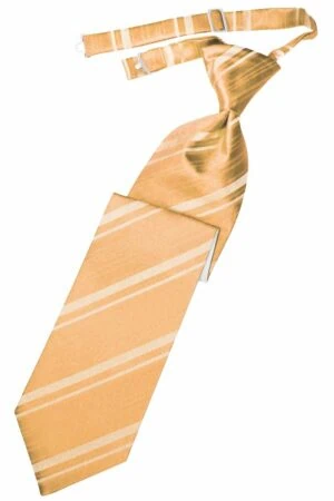 Apricot Striped Satin Long Tie