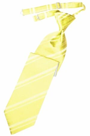 Sunbeam Striped Satin Long Tie