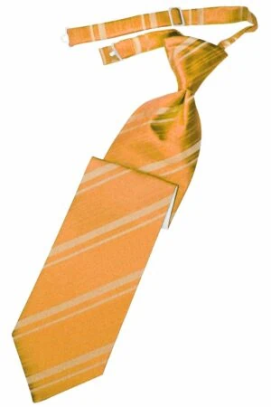 Tangerine Striped Satin Long Tie